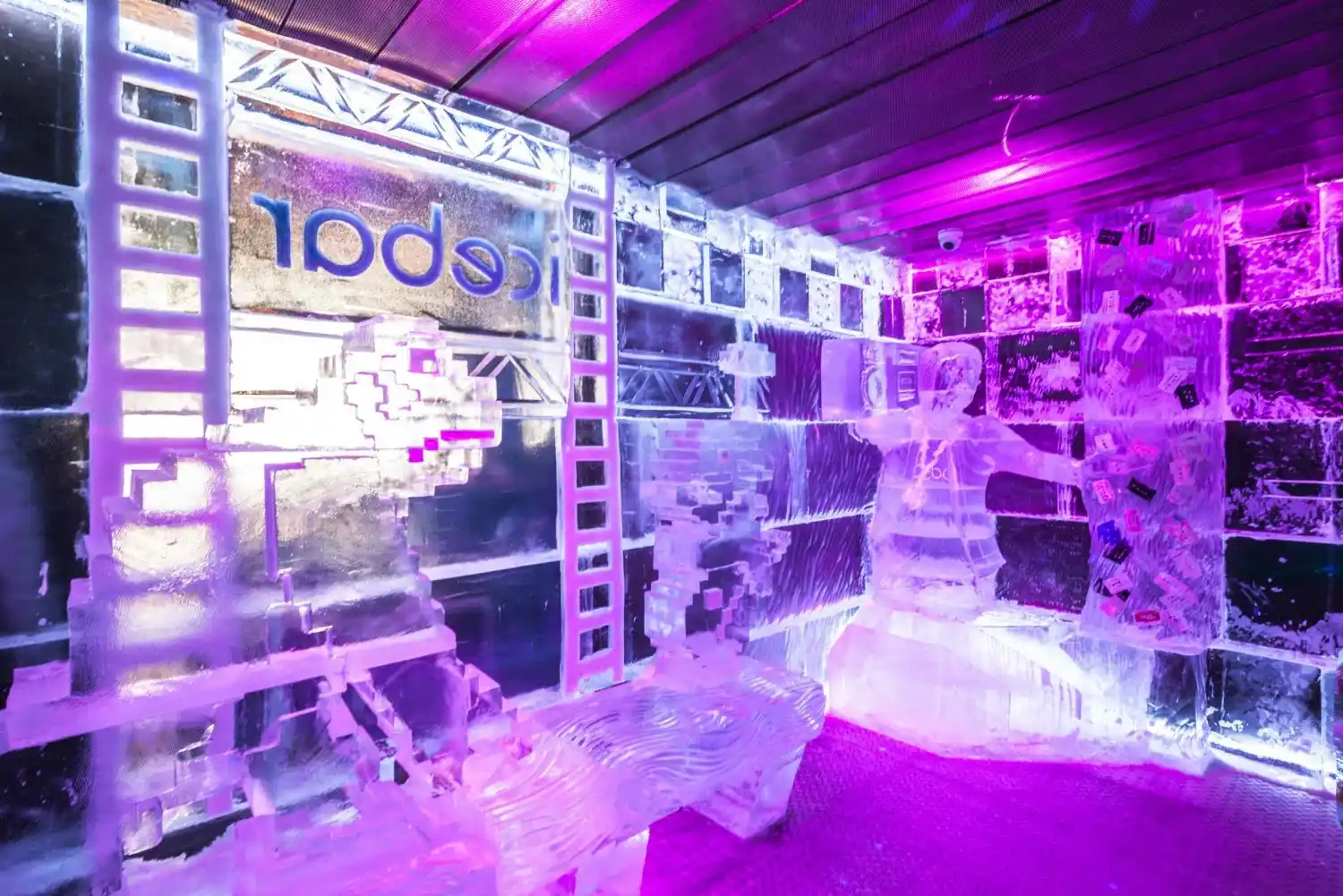 Ice Bar Experience